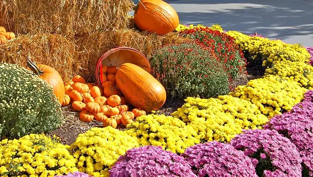 Adding More Curb Appeal at Woodfield Corporate Center